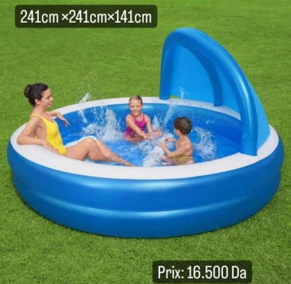 Piscine bestway 241*241*141